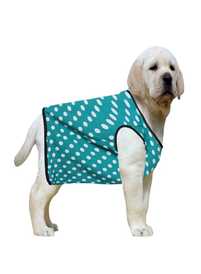 Western Era Funky Soft Cotton Dog T-Shirt | Comfortable & Breathable Dog Clothing | Stylish Sleeveless Vest Pet Outfit (Polka Sky Blue) (XSmall) (12 inches) - Image 1